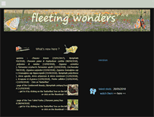 Tablet Screenshot of fleetingwonders.com